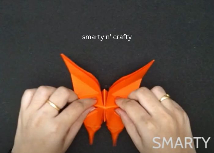 butterfy origami