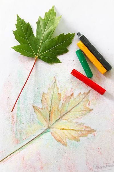 Get creative with some leaf rubbings art