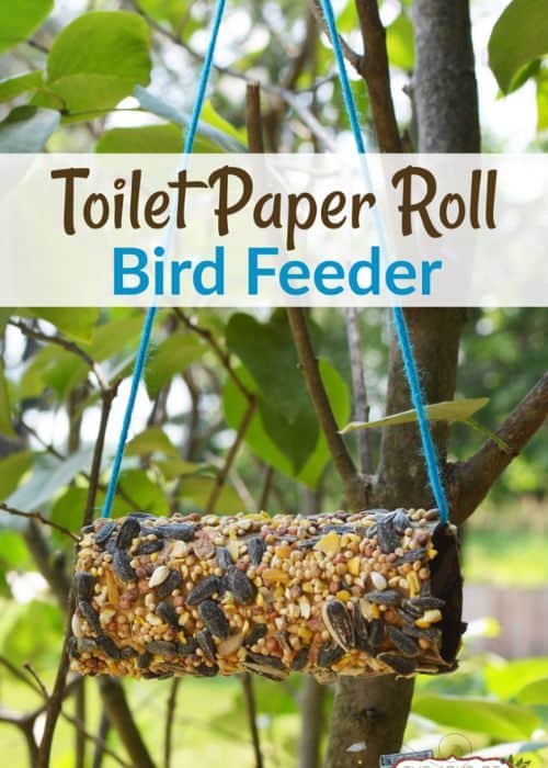 TP Roll Bird Feeder