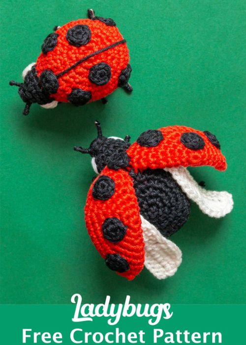 Crocheted Ladybugs