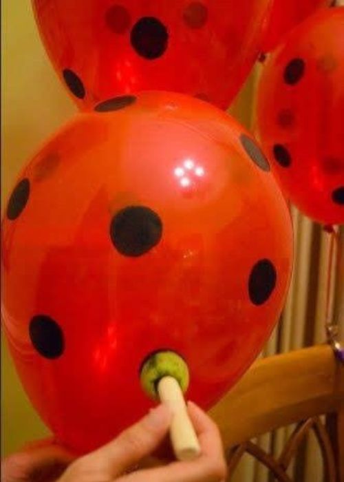 Ladybug Balloons