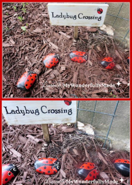 Ladybug Rocks