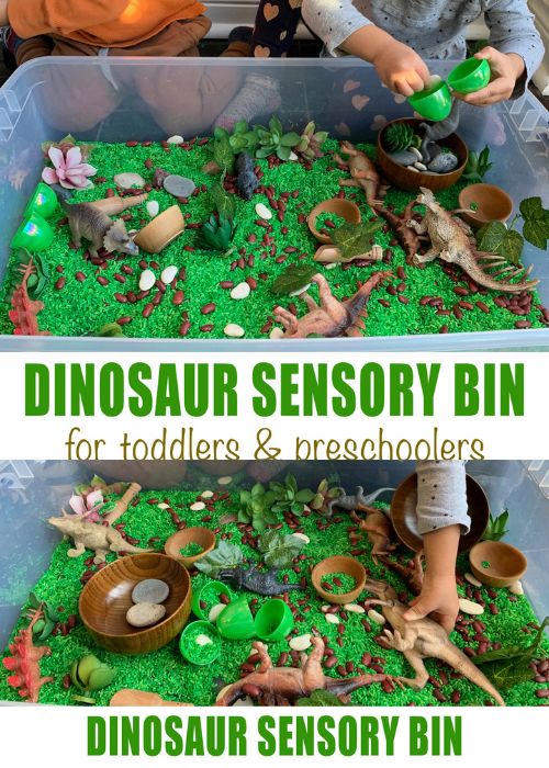Dino Sensory Bin