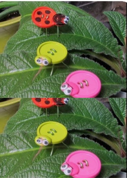 Beetle Button Art