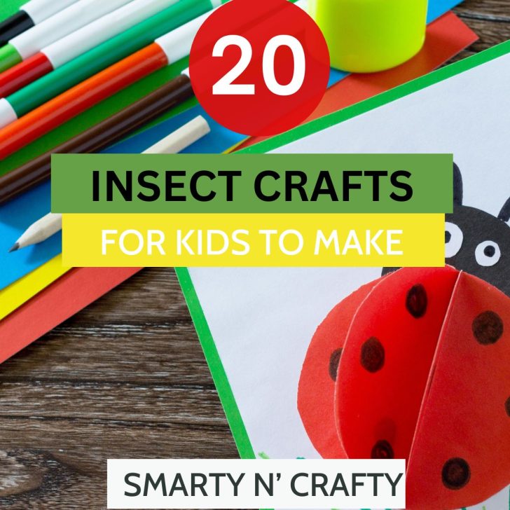 INSECT crafts for kids