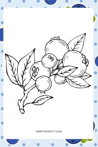 blueberry coloring pages