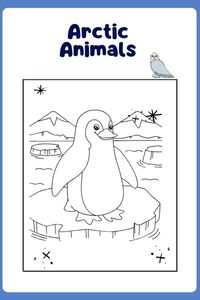 arctic animals coloring pages